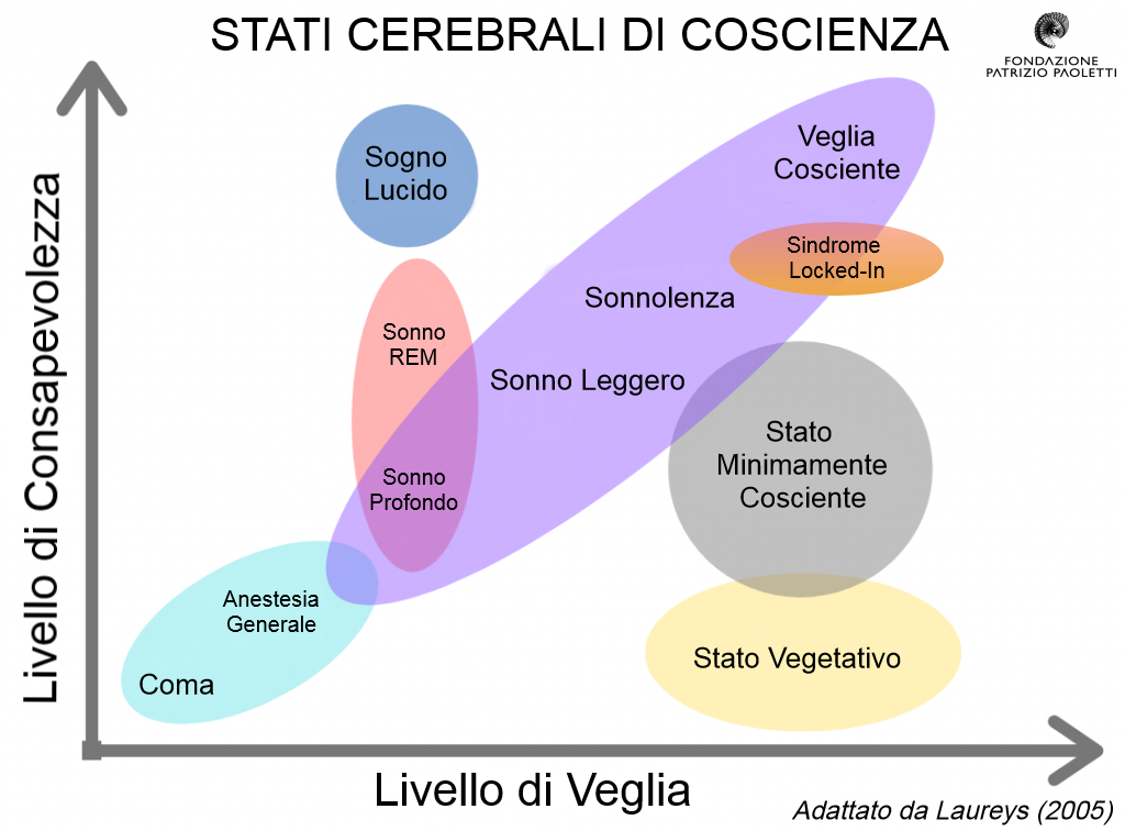 Stati di coscienza