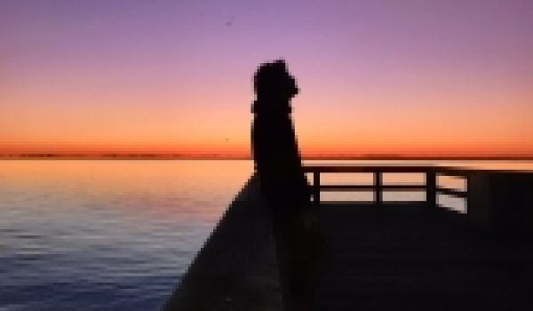 Il valore dell'attesa
