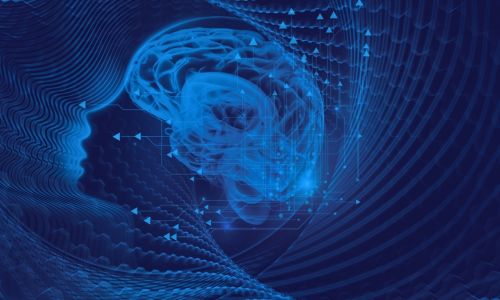 Neuroecology and educational equity: neural regulation, interpersonal synchronization, and social development