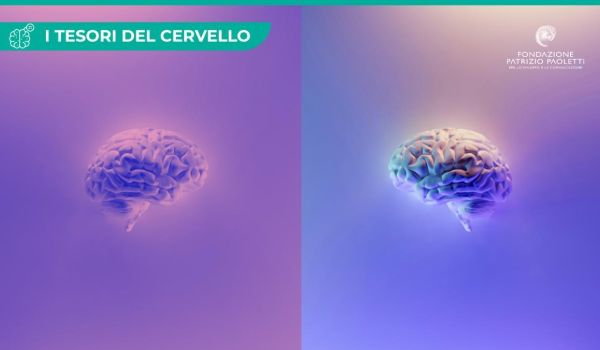 Cervelli maschili, cervelli femminili
