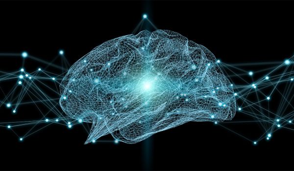 Le cellule che alimentano le decisioni