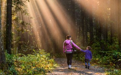 Il Forest Bathing una pratica antica dai benefici moderni