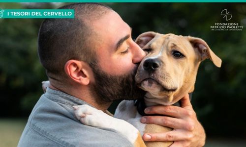 Neuroscienze comparate