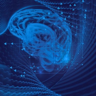 Neuroecology and educational equity: neural regulation, interpersonal synchronization, and social development