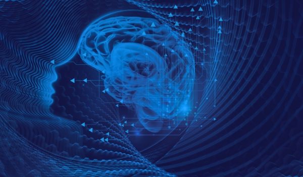 Neuroecology and educational equity: neural regulation, interpersonal synchronization, and social development