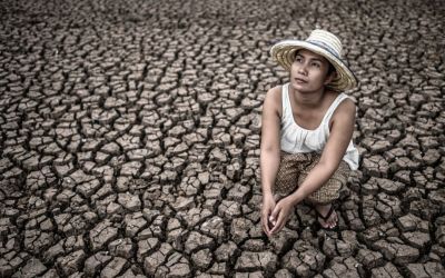 Cambiamento climatico