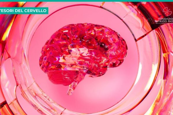 Ghiandola pituitaria