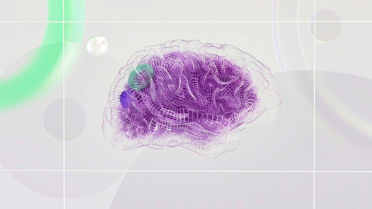 Corteccia cerebrale temporale