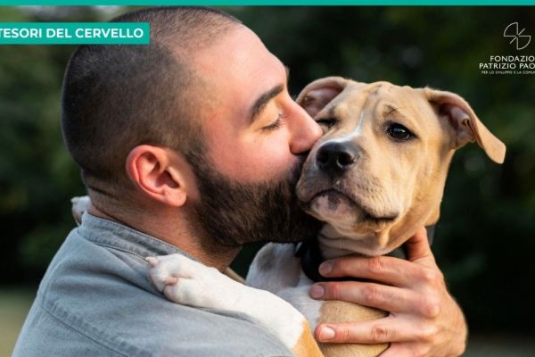 Neuroscienze comparate