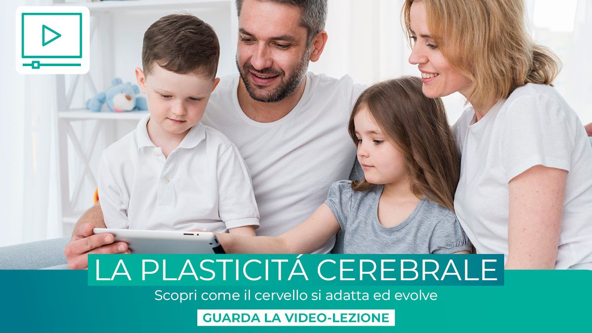 Magnet plasticita cerebrale