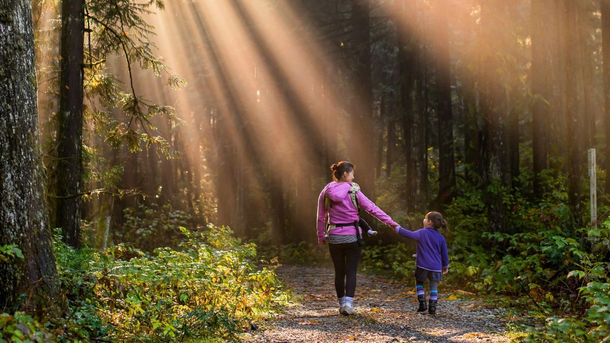 Il Forest Bathing una pratica antica dai benefici moderni