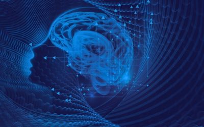 Neuroecology and educational equity: neural regulation, interpersonal synchronization, and social development