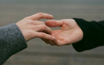 Chiedere scusa o perdono