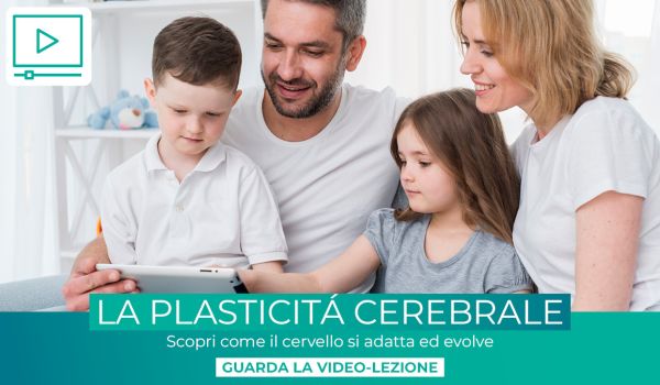 Magnet plasticita cerebrale