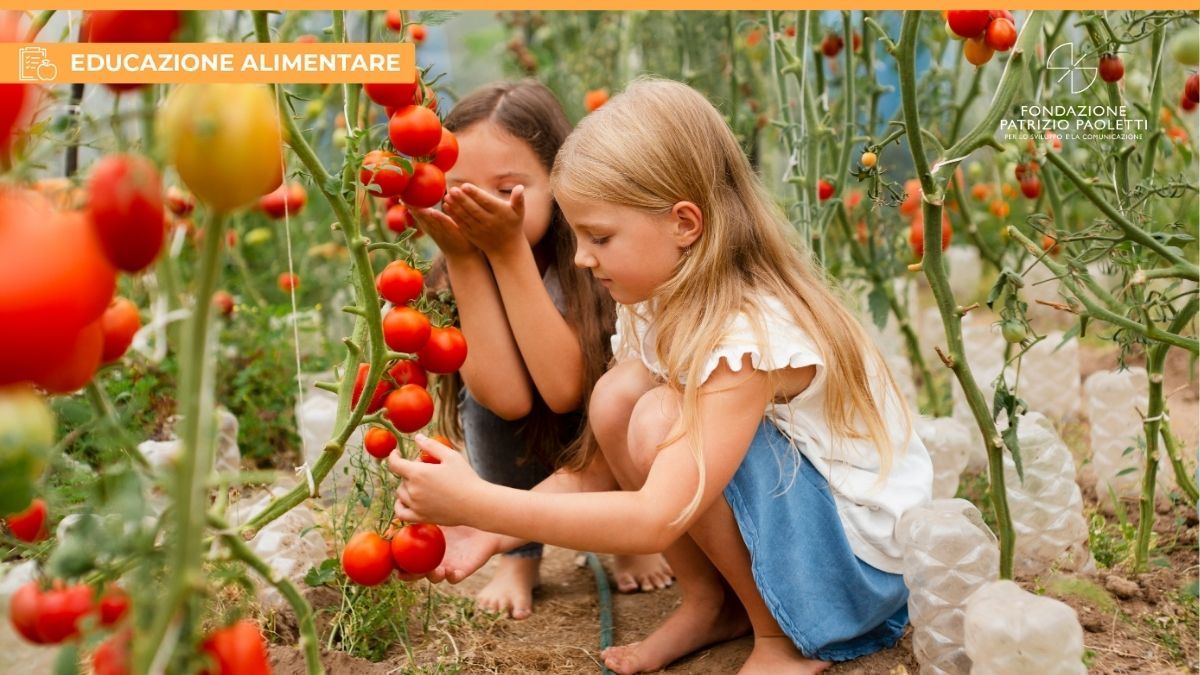 Quali sono le ultime novità sulle diete vegetali