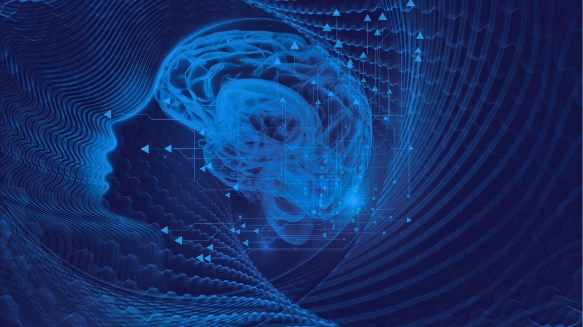 Neuroecology and educational equity: neural regulation, interpersonal synchronization, and social development