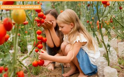 Quali sono le ultime novità sulle diete vegetali