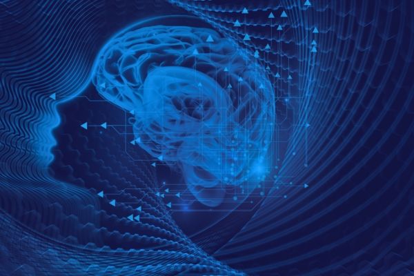 Neuroecology and educational equity: neural regulation, interpersonal synchronization, and social development