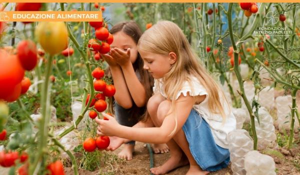 Quali sono le ultime novità sulle diete vegetali