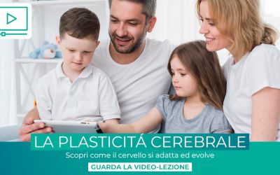 Magnet plasticita cerebrale