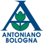 antoniano di bologna