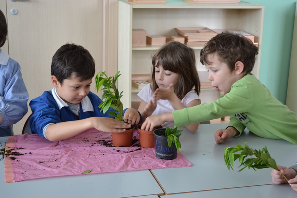 Assisi International School