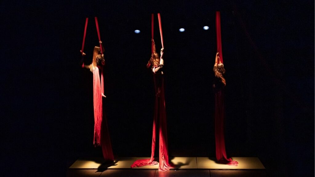 Circo Corsaro 1