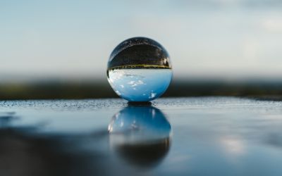 La logica della resilienza
