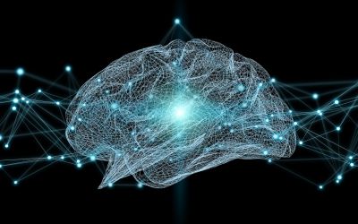 Più resilienti a stress ed emozioni negative