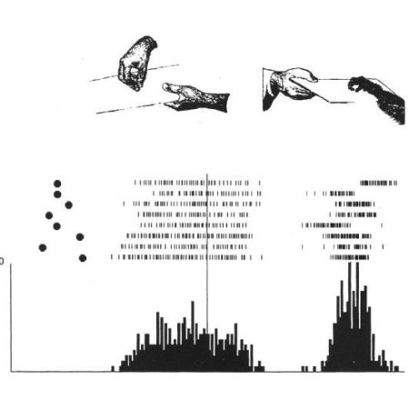 timeline neuroscienze