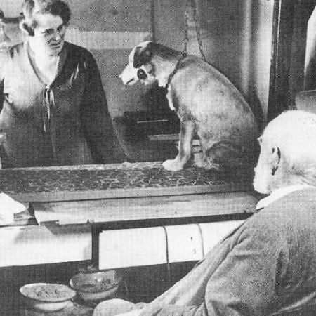 timeline neuroscienze