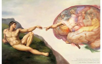 Neurobiologia della Bellezza