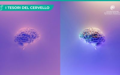 Cervelli maschili, cervelli femminili