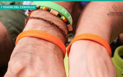 Neuroscienze della solidariet&agrave;