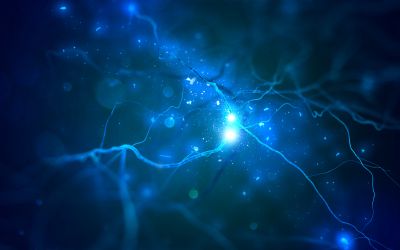 Contrastare il declino cognitivo