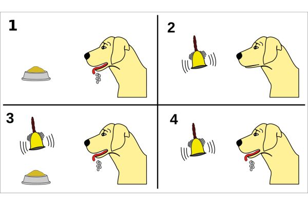 Cane di Pavlov